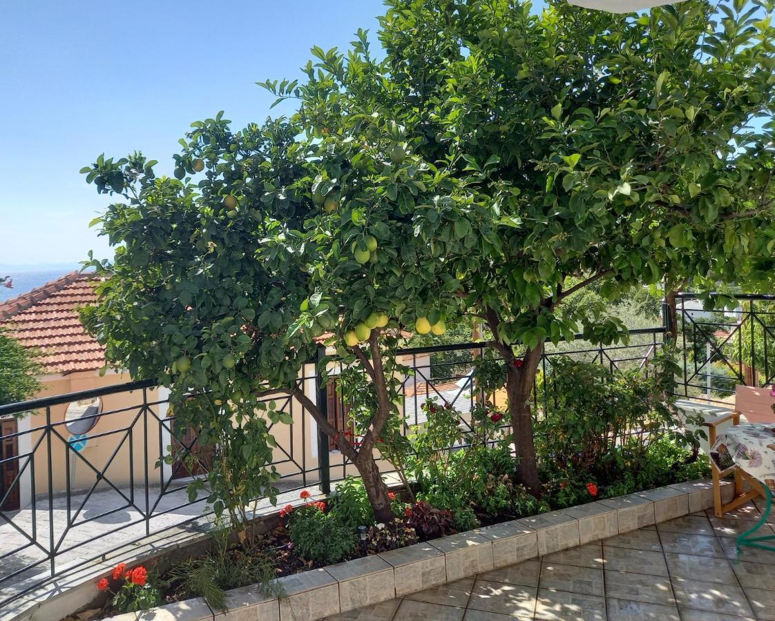 Villa Πηλιο- Το Εξοχικο Τησ Αννασ- Αφησσοσ Áfissos Exterior foto