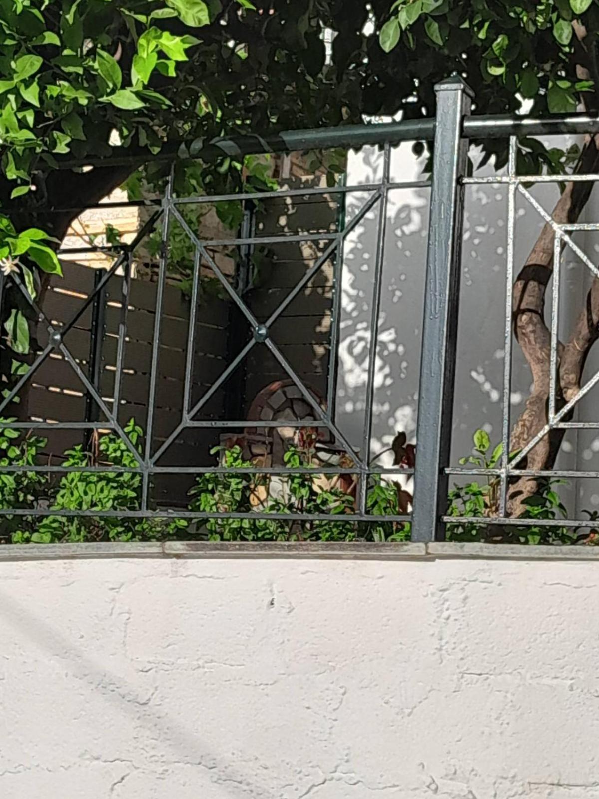Villa Πηλιο- Το Εξοχικο Τησ Αννασ- Αφησσοσ Áfissos Exterior foto